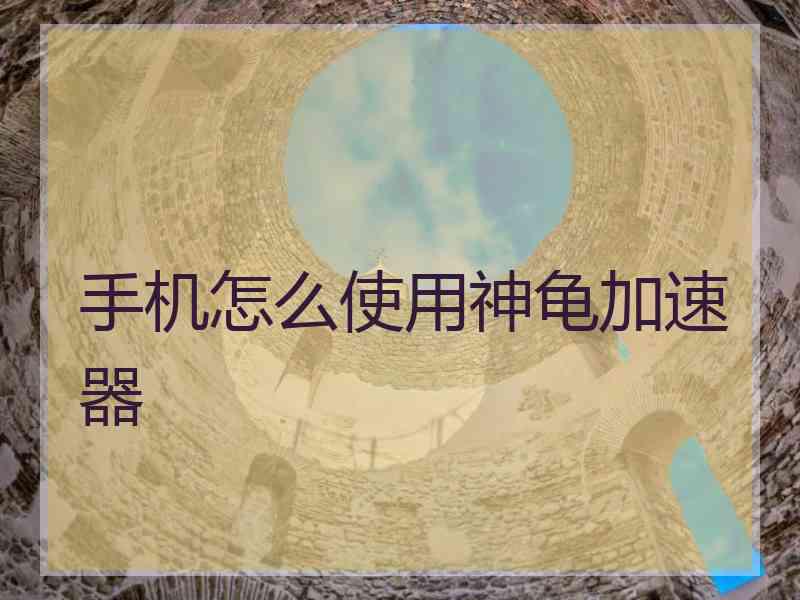 手机怎么使用神龟加速器