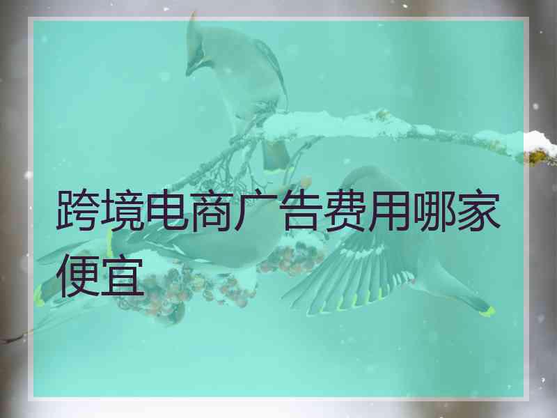 跨境电商广告费用哪家便宜