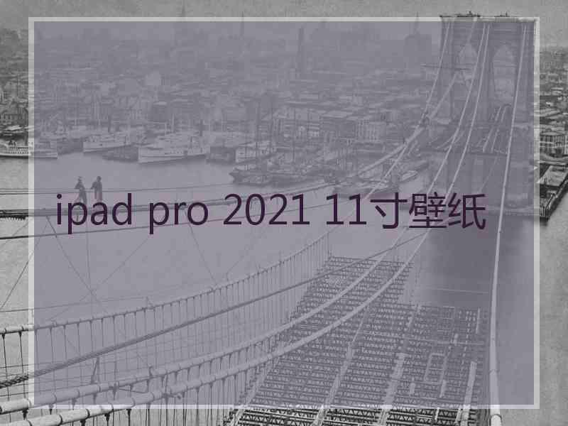 ipad pro 2021 11寸壁纸