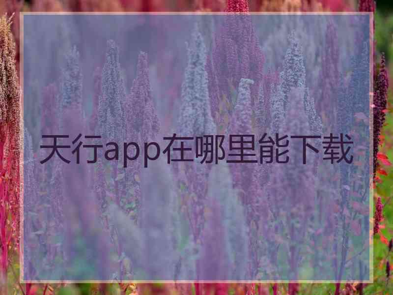 天行app在哪里能下载