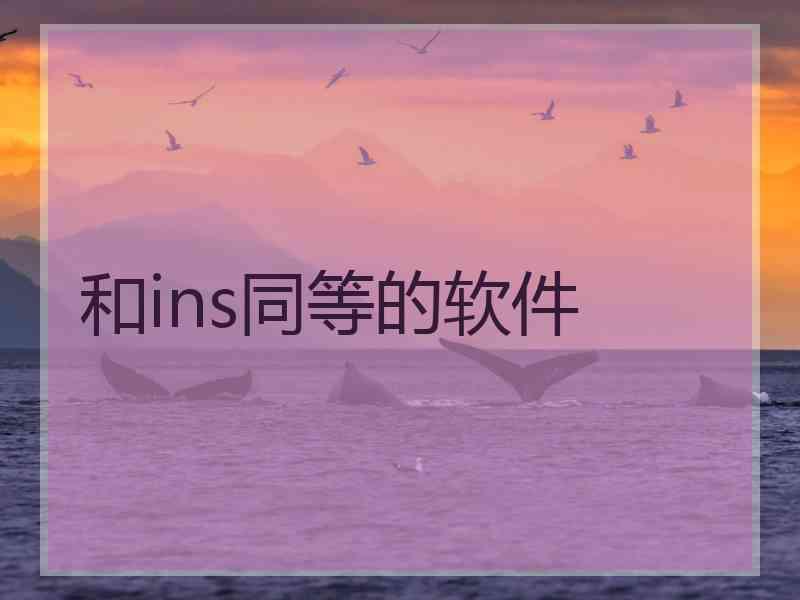 和ins同等的软件
