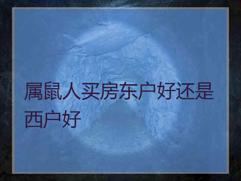 属鼠人买房东户好还是西户好
