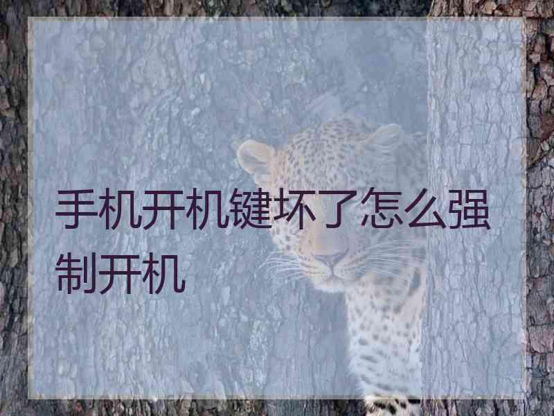 手机开机键坏了怎么强制开机
