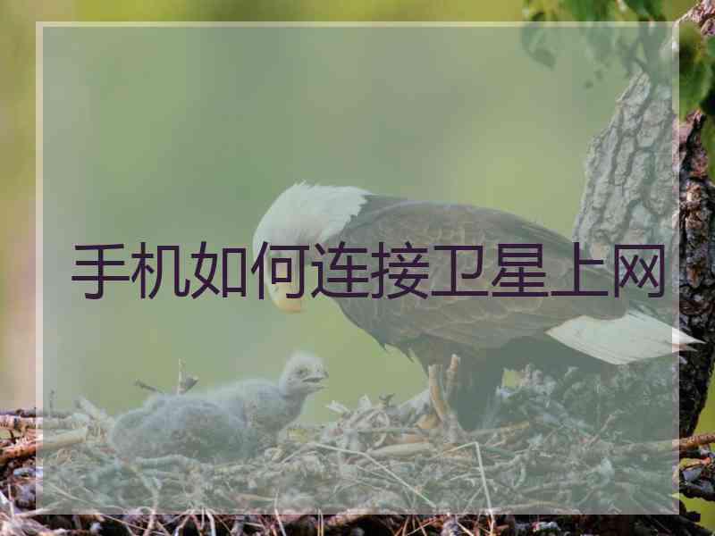 手机如何连接卫星上网
