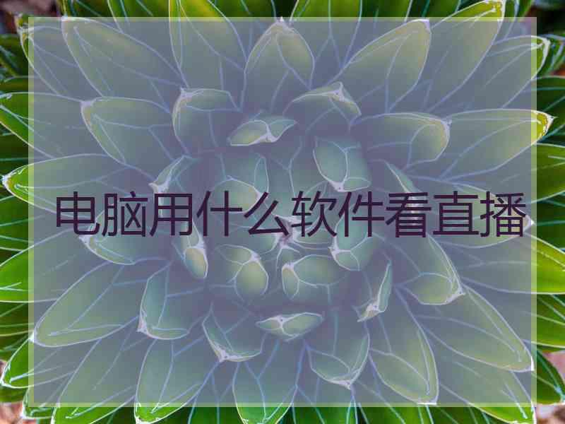 电脑用什么软件看直播
