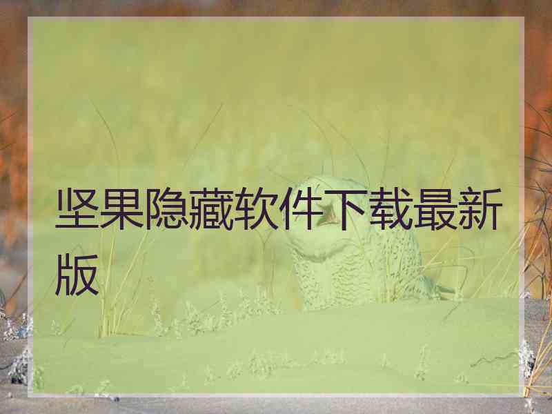 坚果隐藏软件下载最新版