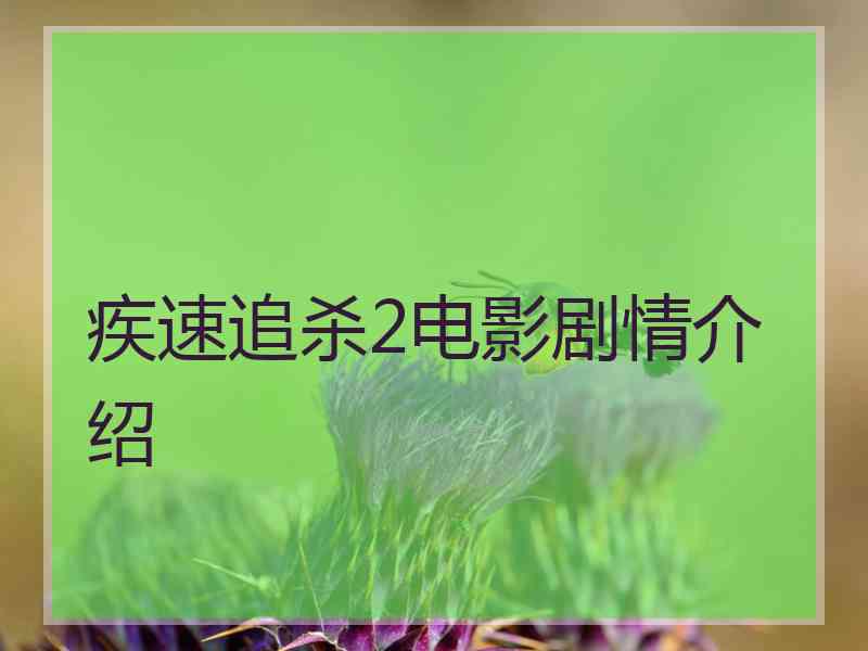 疾速追杀2电影剧情介绍