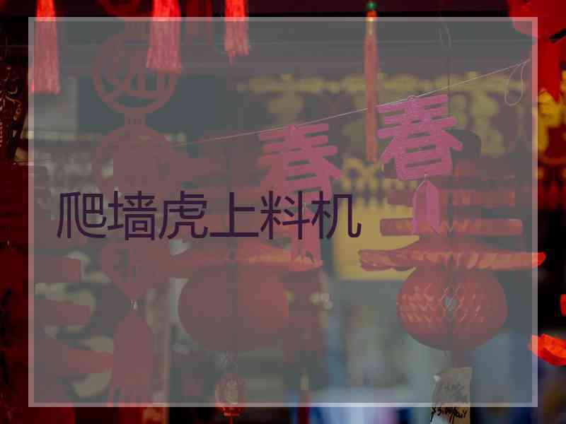 爬墙虎上料机