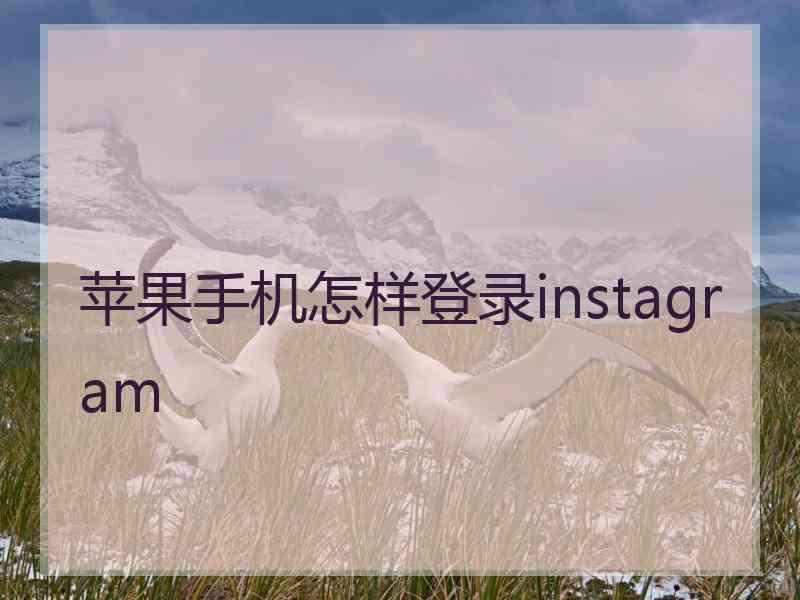 苹果手机怎样登录instagram