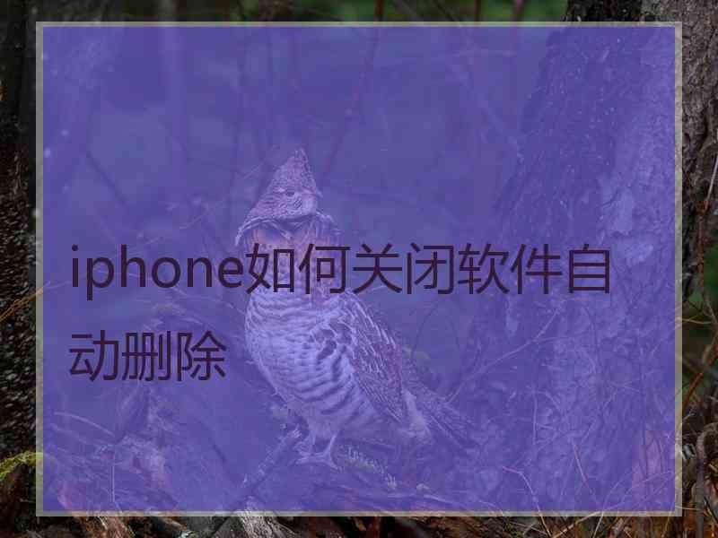 iphone如何关闭软件自动删除