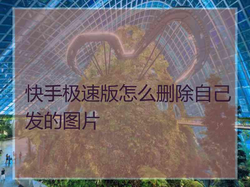 快手极速版怎么删除自己发的图片