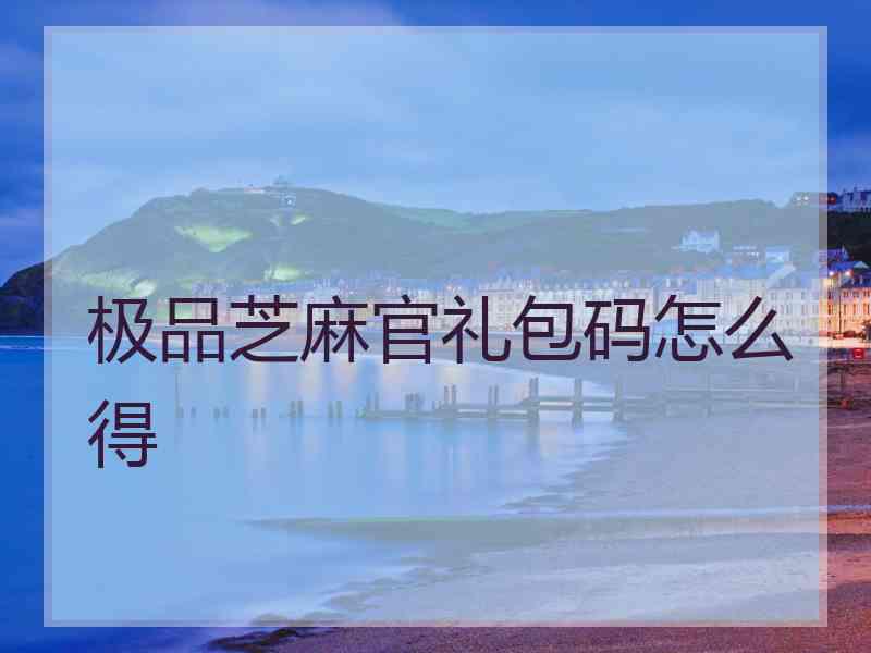 极品芝麻官礼包码怎么得