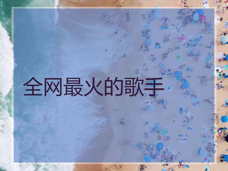 全网最火的歌手