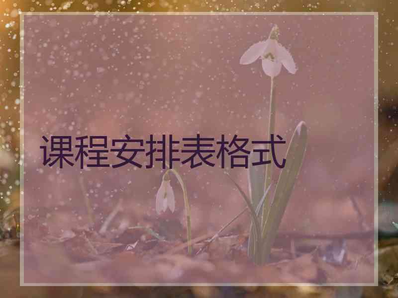 课程安排表格式