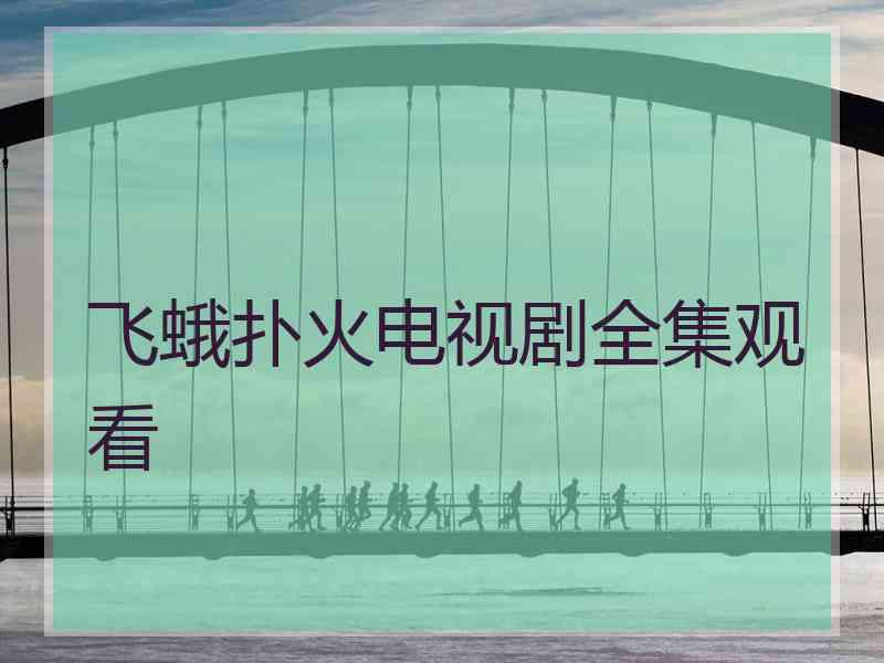 飞蛾扑火电视剧全集观看