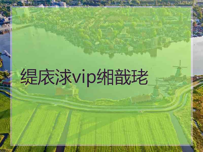 缇庡浗vip缃戠珯