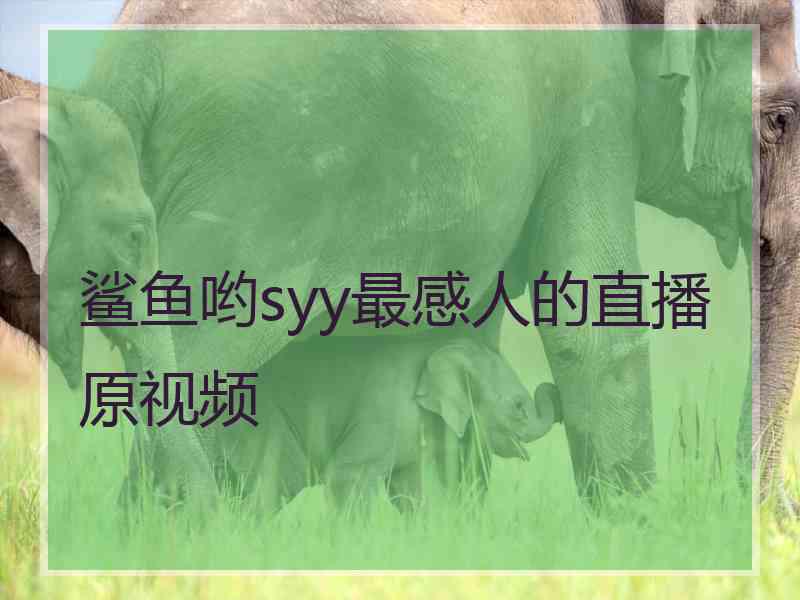 鲨鱼哟syy最感人的直播原视频