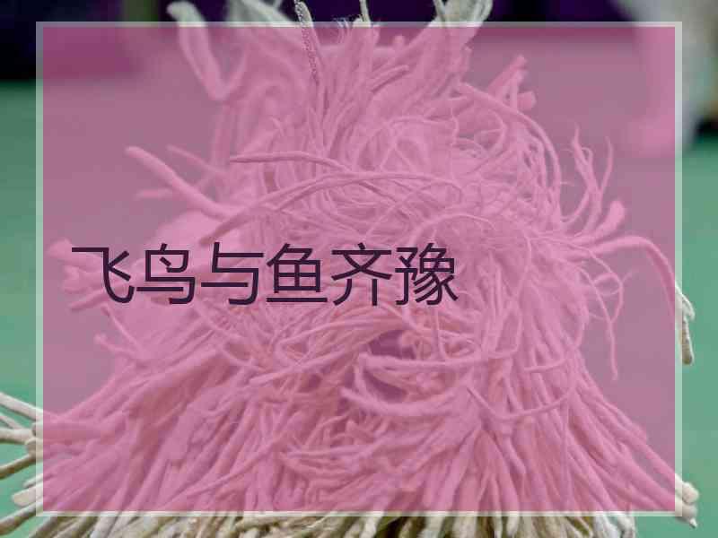 飞鸟与鱼齐豫