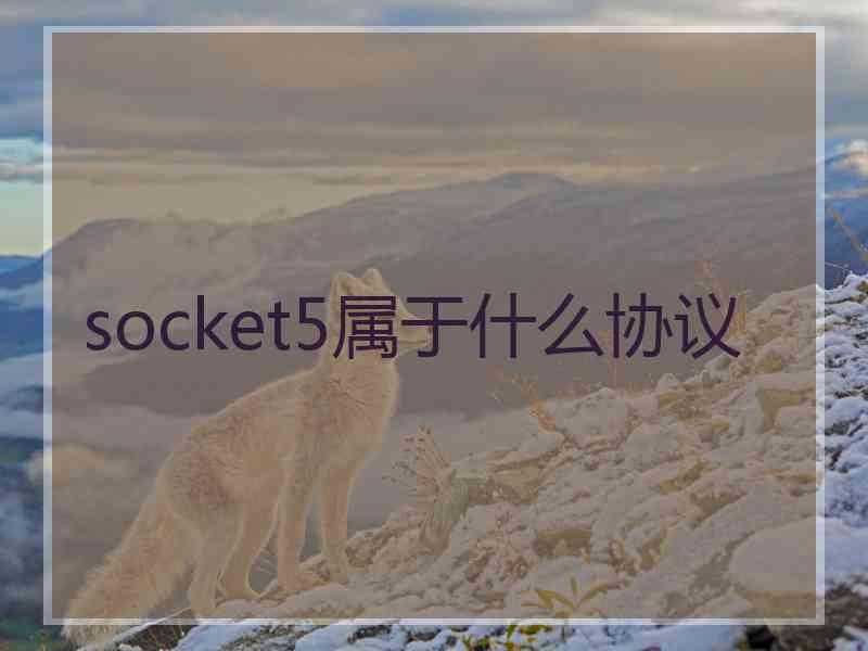 socket5属于什么协议