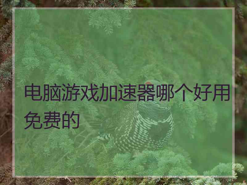 电脑游戏加速器哪个好用免费的
