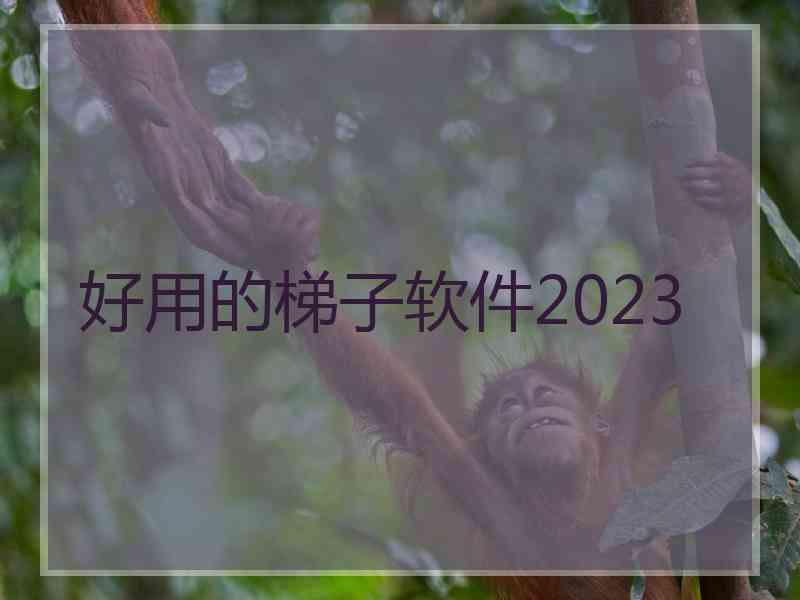 好用的梯子软件2023