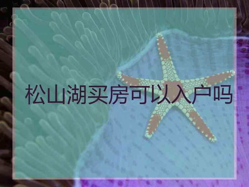 松山湖买房可以入户吗