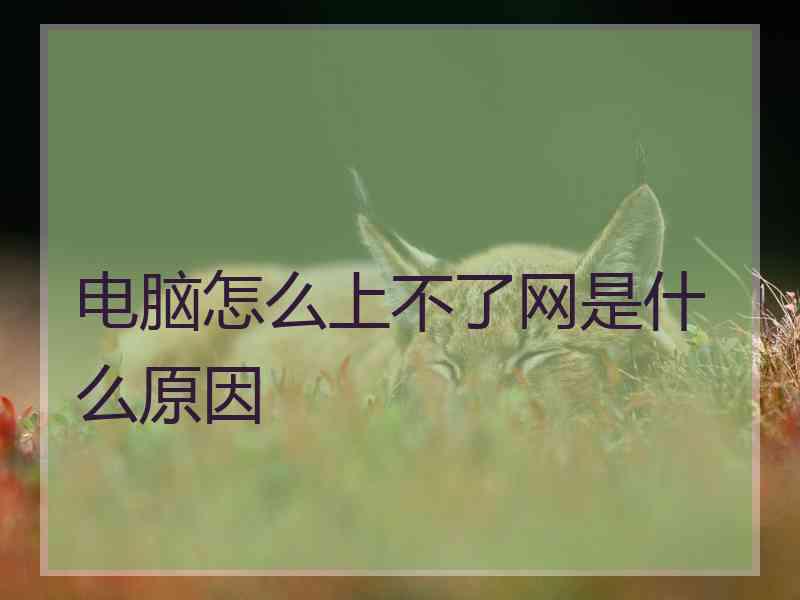 电脑怎么上不了网是什么原因