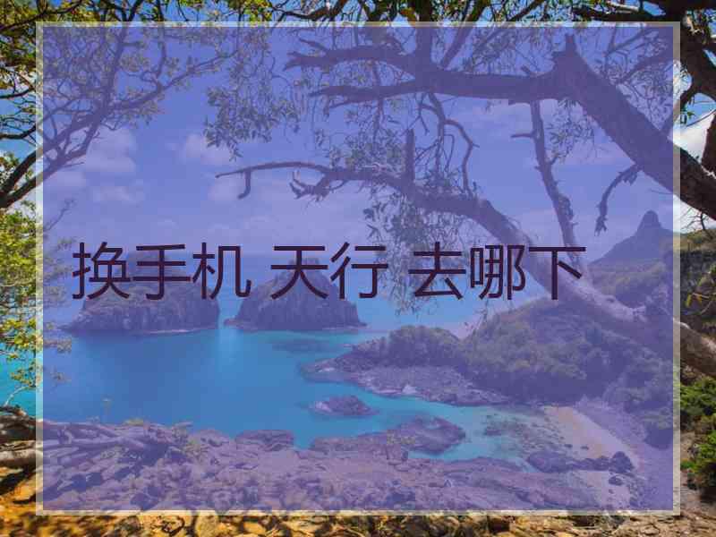 换手机 天行 去哪下