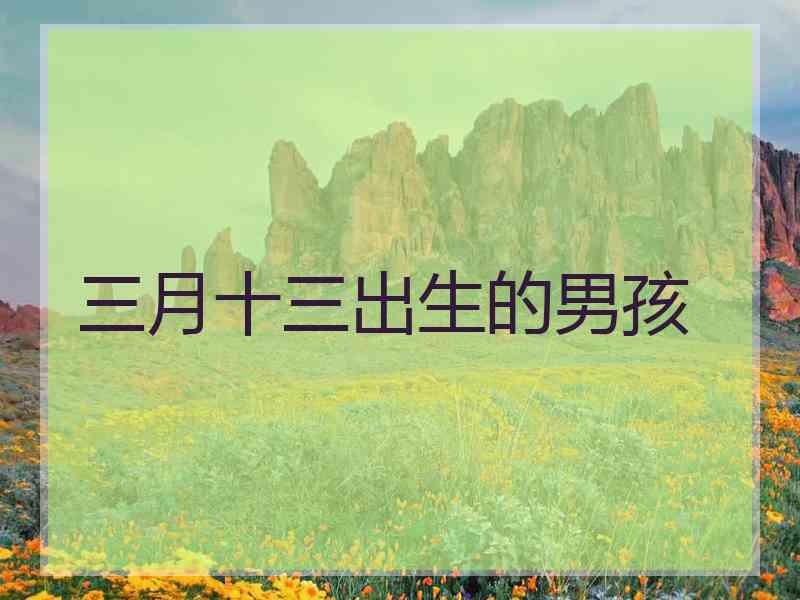 三月十三出生的男孩