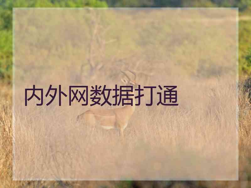 内外网数据打通