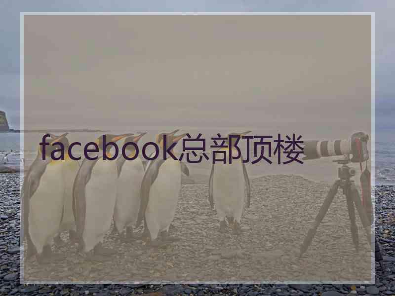 facebook总部顶楼