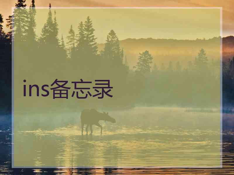 ins备忘录