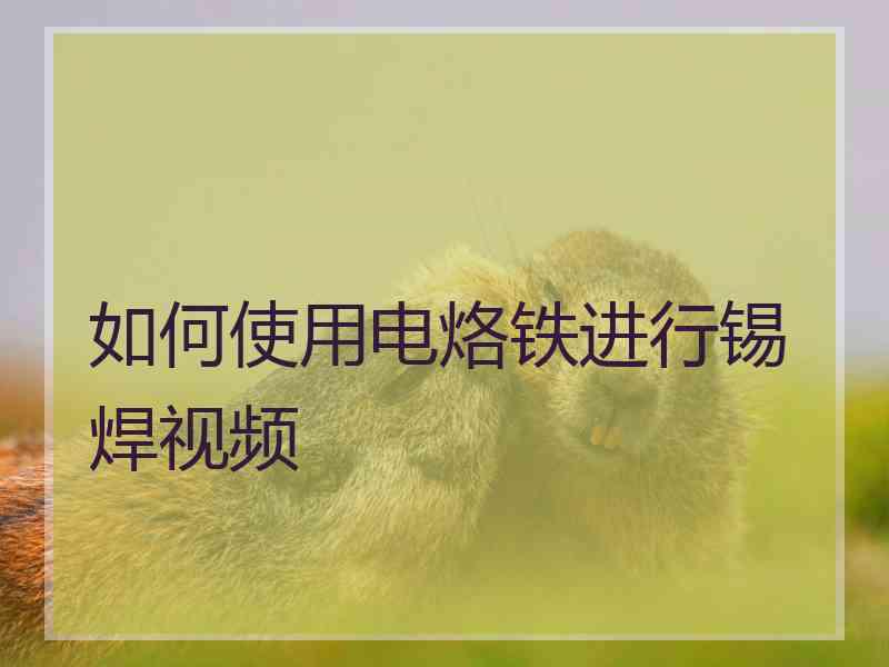 如何使用电烙铁进行锡焊视频