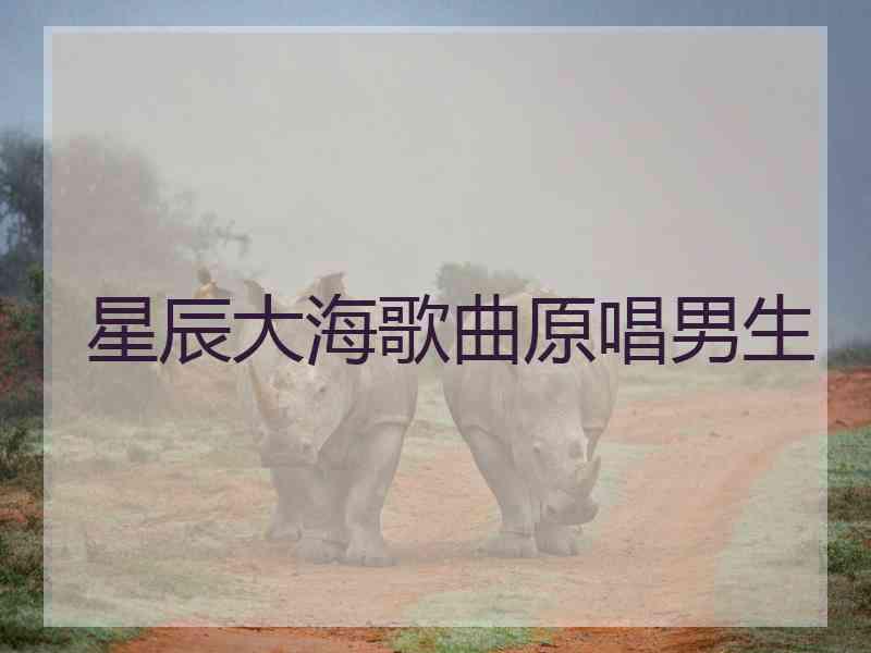 星辰大海歌曲原唱男生