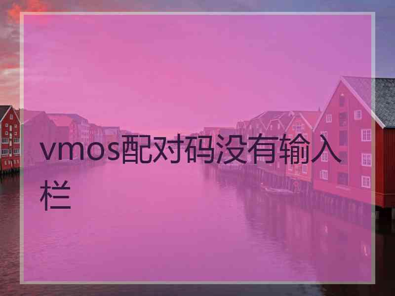 vmos配对码没有输入栏