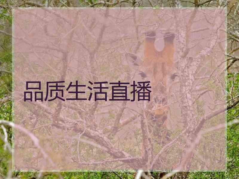 品质生活直播