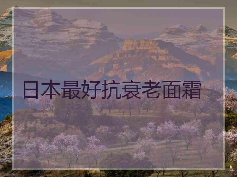 日本最好抗衰老面霜