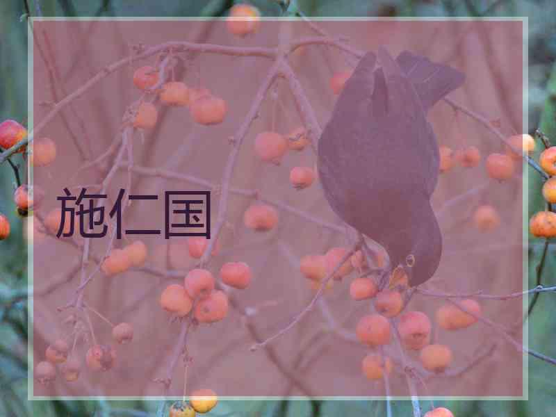 施仁国