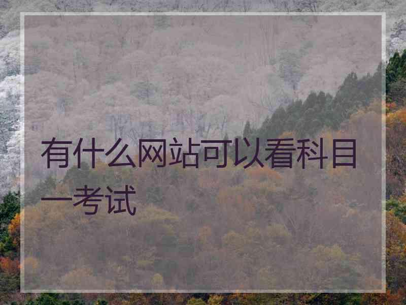有什么网站可以看科目一考试