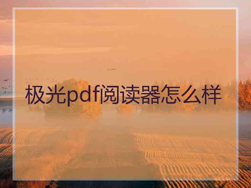极光pdf阅读器怎么样