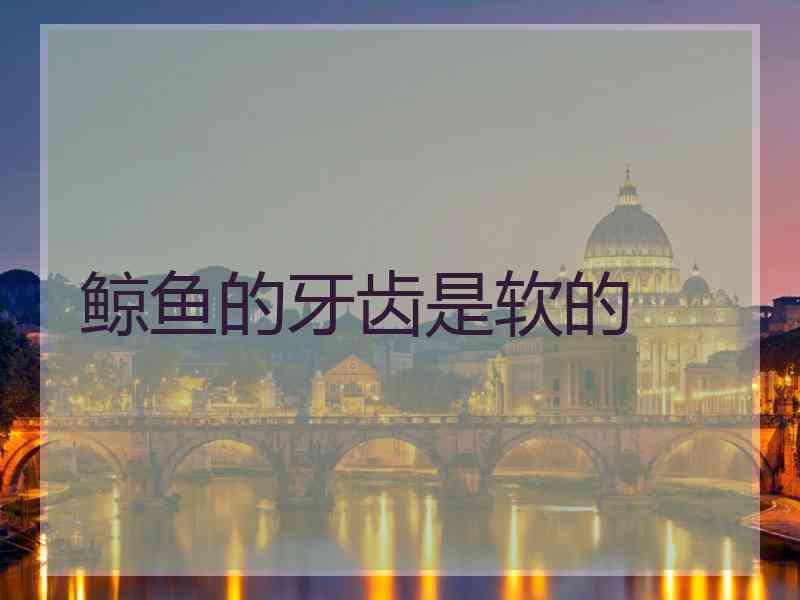 鲸鱼的牙齿是软的