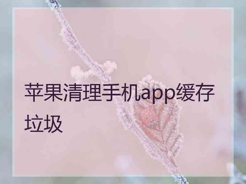 苹果清理手机app缓存垃圾