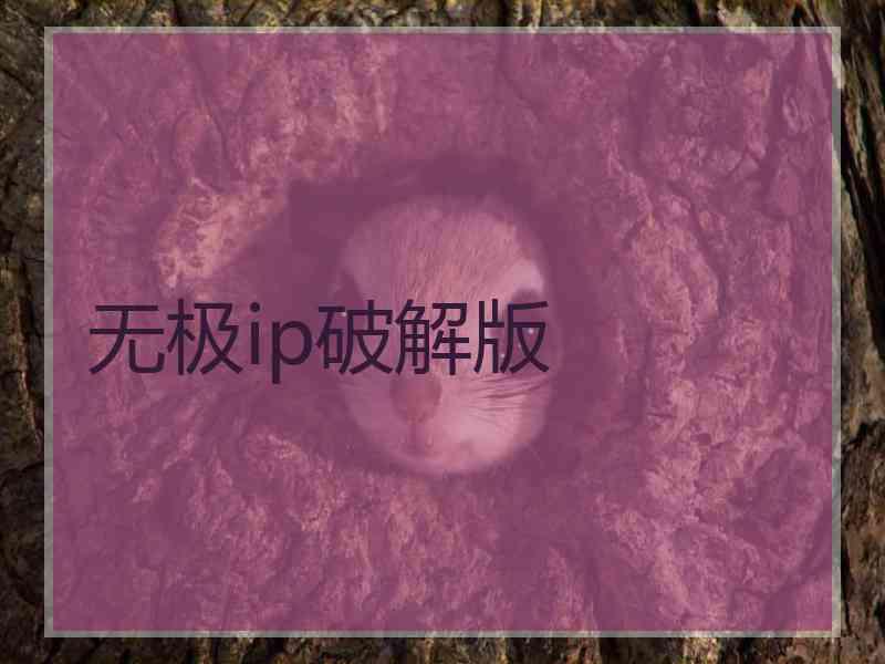 无极ip破解版