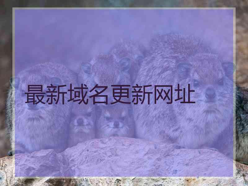 最新域名更新网址