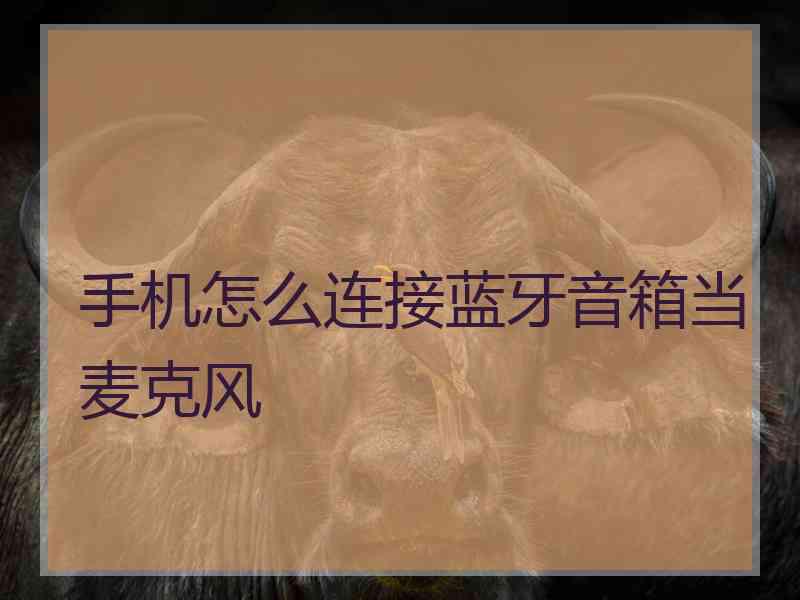 手机怎么连接蓝牙音箱当麦克风