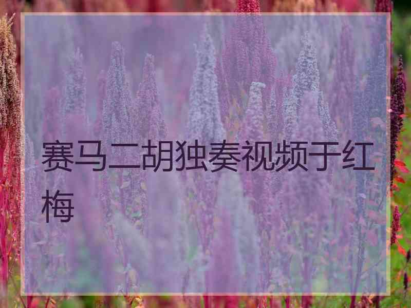 赛马二胡独奏视频于红梅