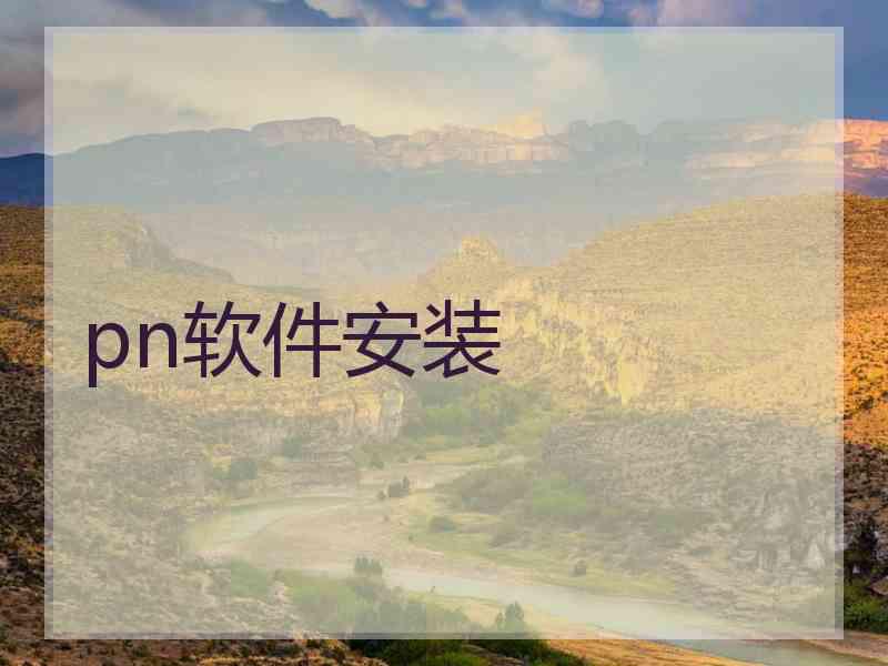 pn软件安装
