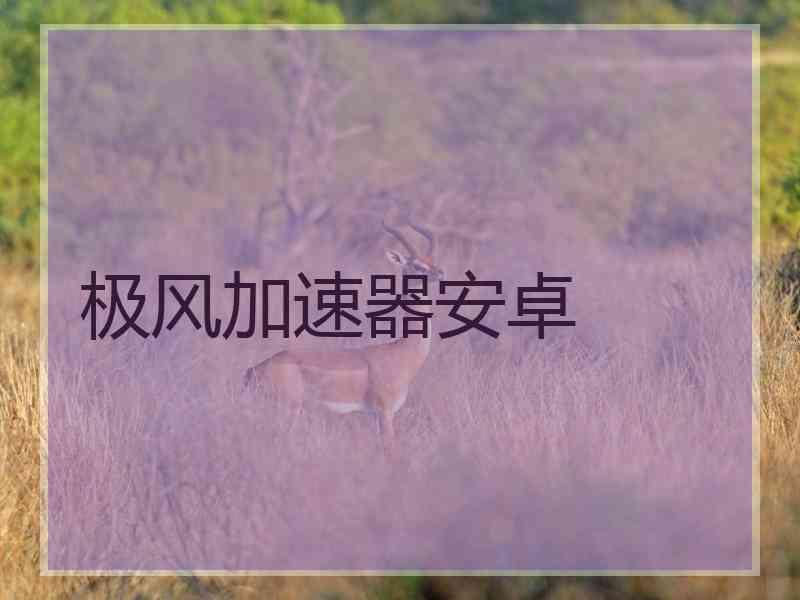 极风加速器安卓