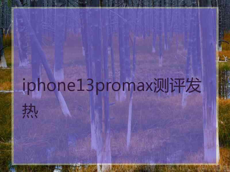 iphone13promax测评发热