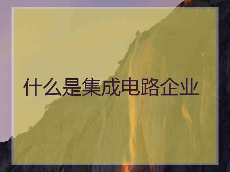 什么是集成电路企业